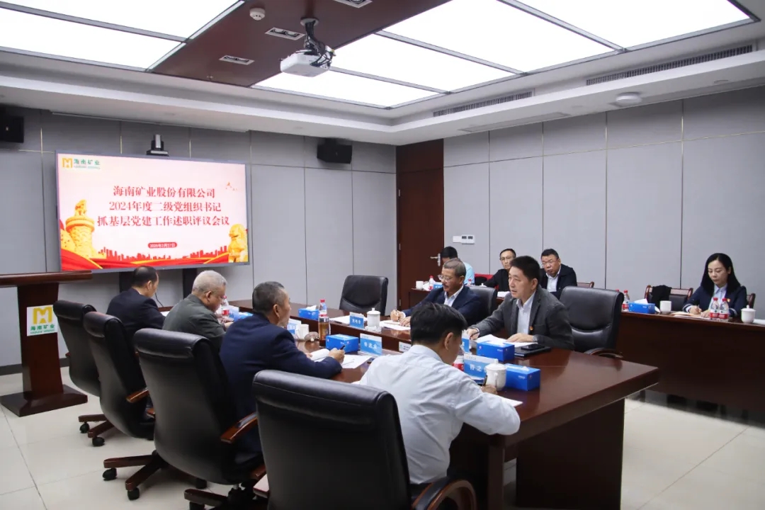 海南礦業(yè)黨委召開2024年度二級黨組織書記抓基層黨建工作述職評議會議